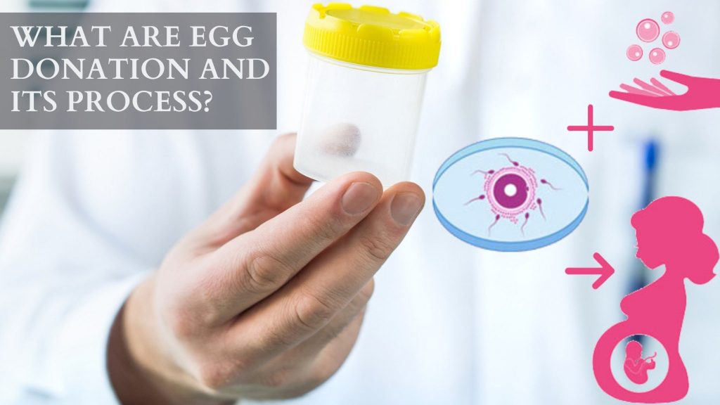 What is egg donation and its process?