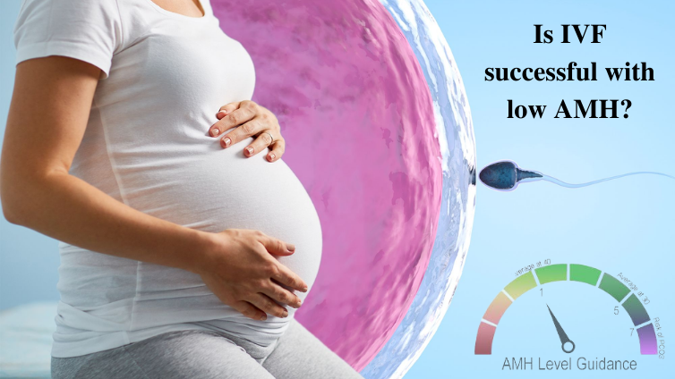 Is IVF successful with low AMH
