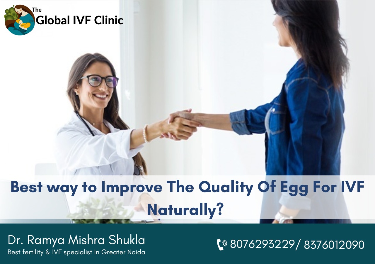 Best way to Improve The Quality Of Egg For IVF Naturally?